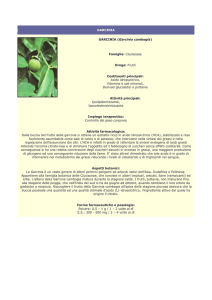 Garcinia - Farmacia S. Antonio – Brescia