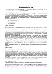 GENETICA BATTERICA