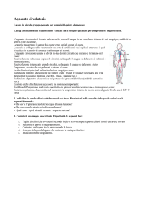 Intestino