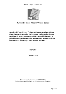 progress_report_MITO_23_Gennaio2017