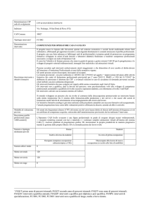 Denominazione CFP sede di svolgimento CFP di SAN DONA`DI