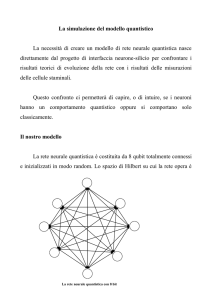 La simulazione del modello quantistico