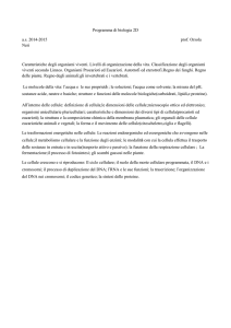 Programmi Prof.ssa Neri biologia II D 2014-2015
