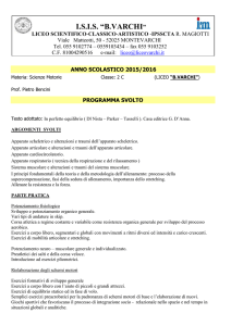 programmi classe 2 C Bencini