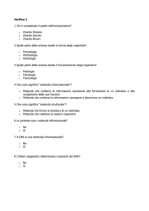 questionario