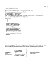 27-04-06 - Unime Group