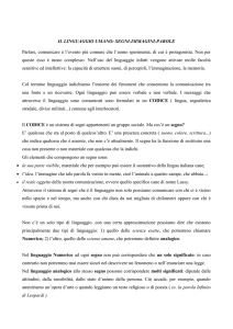 IL LINGUAGGIO UMANO: SEGNI-IMMAGINI