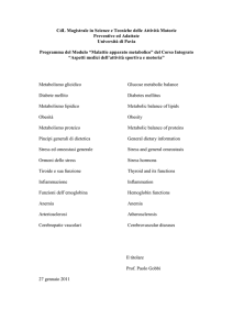 Programma_Mag - Università di Pavia