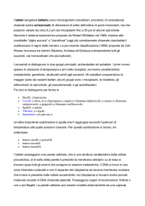 I batteri - Altervista