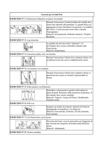Esercizi per la Sala Pesi