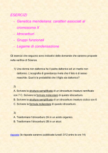 ESERCIZI PER LA VERIFICA DEL 9 OTTOBRE: