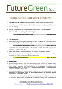 costi di gestione coltivazione di paulownia