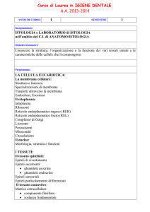 Programma