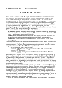 Il naso ie le cavità paranasali sono solo - Digilander