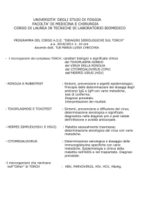 Indagini Sierologiche sul Torch - Facoltà di Medicina e Chirurgia