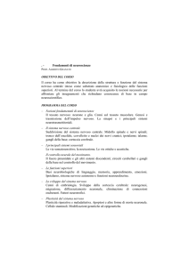 Fondamenti di neuroscienze