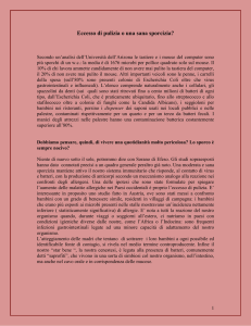 Eccesso di pulizia o una sana sporcizia