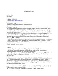 curriculum vitae