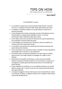 La coccidiosi – 1 parte