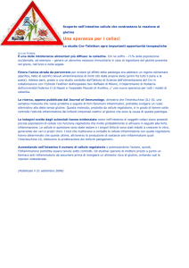 Scoperte nell`intestino cellule che contrastano la reazione al