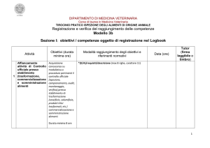 Allegato 3b
