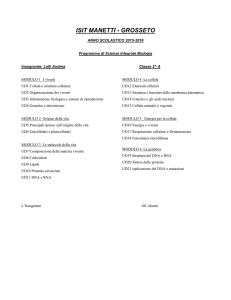 programma svolto seconde