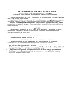 VACCINAZIONE CONTRO L`HAEMOPHILUS