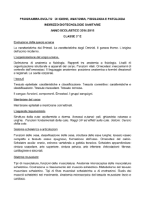 Igiene_anatomia_3E