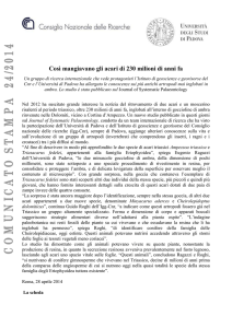 università degli studi di padova