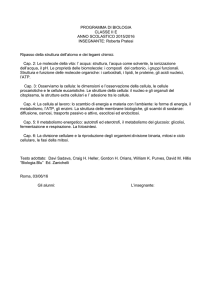 scienze - Liceo Morgagni
