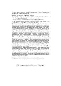 Esempio riassunto