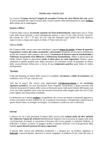 neoplasia vescicale
