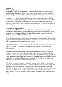 Capitolo_25