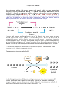 Lez_resp_cell - IHMC Public Cmaps (3)