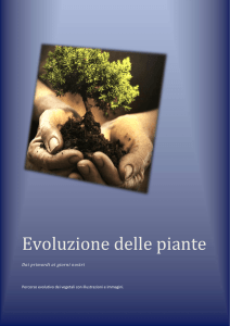 Dai primordi ai giorni nostri