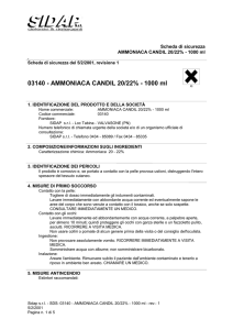 Safety Data Sheet (P1, IT, ITA, 1.0)