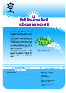 Agente infettivo Malattia Batteri Meningite batterica, Chlamydia