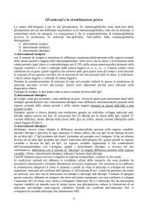 Gli Anticorpi e la Ricombinazione Genica