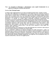 sintesi della relazione