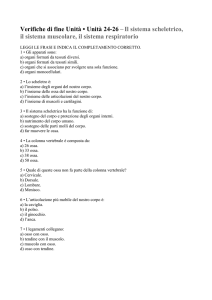 sistemi - Il mio libro di ed.fisica