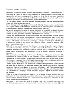Descrizione ecologica e botanica