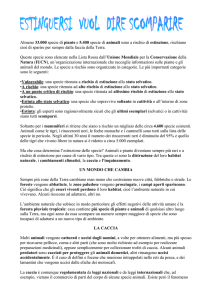 ESTINGUERSI VUOL DIRE SCOMPARIRE