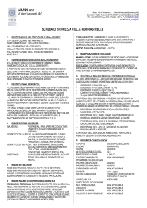 1.1 – identificazione del preparato