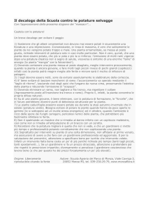 Il decalogo della Scuola contro le potature selvagge