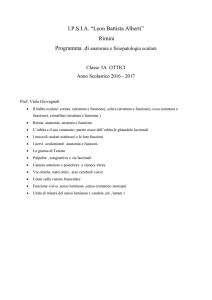 3A_anatomia_as_16_17 - IPSIA " L. Battista Alberti "