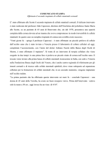 Effettuato il secondo trapianto di cellule staminali corneali
