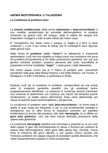 b-talassemia - Telefono Blu