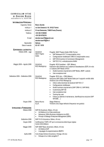curriculum vitae