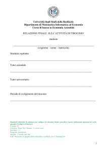 fac simile relazione tirocinio