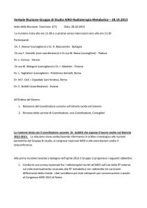 Verbale Riunione Gruppo di Studio AIRO